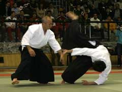 aikido.jpg