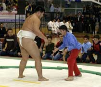sumo.jpg